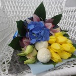 ../wp-content/uploads/2013/07/dsc05844.jpg