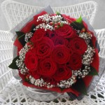 ../wp-content/uploads/2013/07/dsc05967.jpg