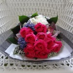 ../wp-content/uploads/2013/07/dsc06250.jpg