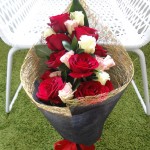 ../wp-content/uploads/2013/07/dsc06634.jpg