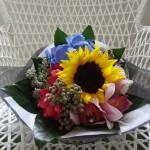 ../wp-content/uploads/2013/07/dsc06673.jpg