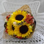 ../wp-content/uploads/2013/07/dsc07191.jpg
