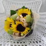 ../wp-content/uploads/2013/07/dsc07203.jpg